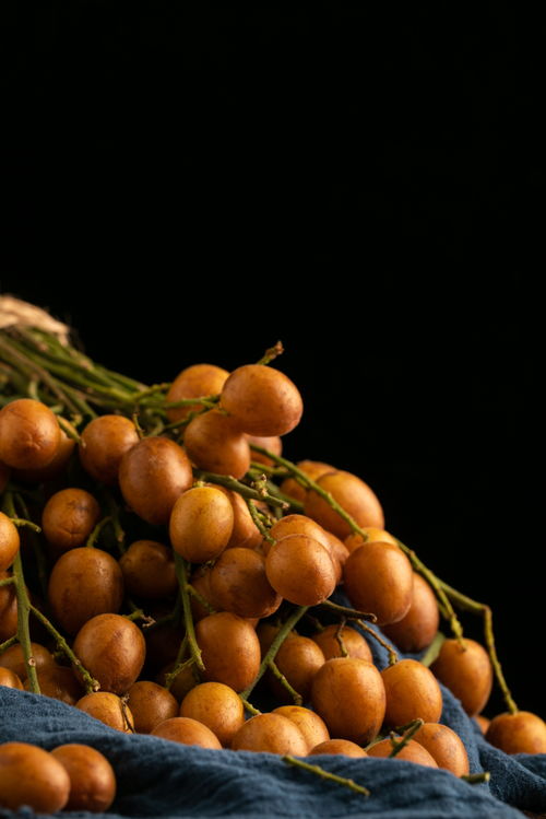 黃皮果特產夏季水果美食攝影圖 攝影