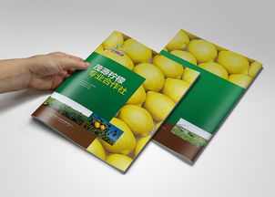 水果 食品畫(huà)冊(cè)