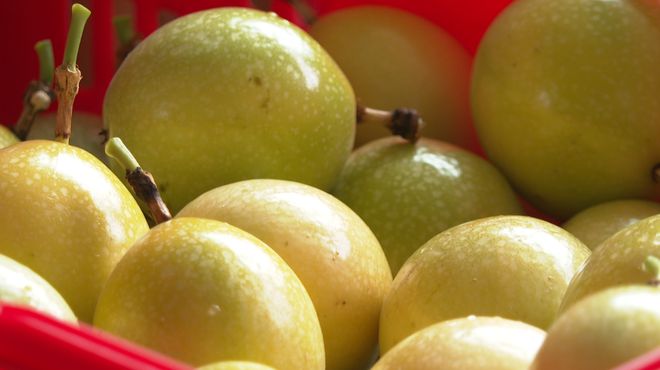 龍川:百香果果豐味甜,&ldquo;線上+線下&rdquo;串起致富路!