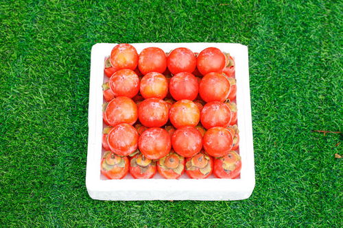 新鮮臘菜圖片素材下載 食品餐飲素材下的蔬菜水果圖片素材 匯圖網(wǎng)