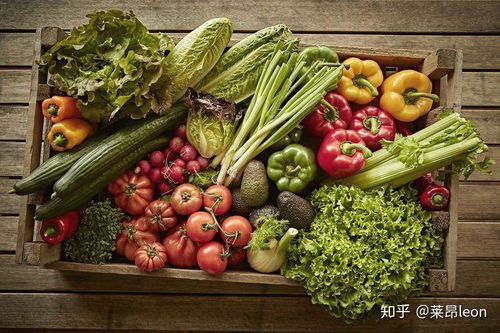 入西班牙境攜帶物品須知 果品相關規定詳解