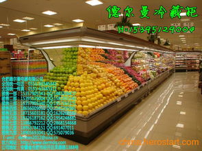 潮州供應各類冷藏保鮮設備 KTV酒水柜、牛奶水果柜、酸奶果品保鮮柜選購指南