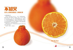 果業公司畫冊設計與印刷定制 打造專業果品宣傳與招商平臺
