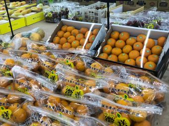 微送鮮果果品批發行——如皋連鎖服務網絡一覽