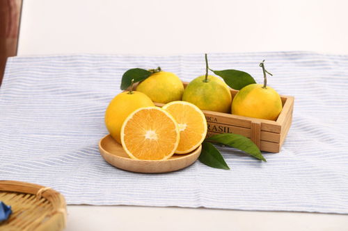 亞特獼猴桃 從田園到餐桌的綠色藝術(shù)